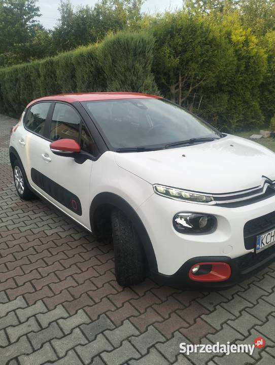 Citrien Pure Tech 83 FEEL PACK Alwernia