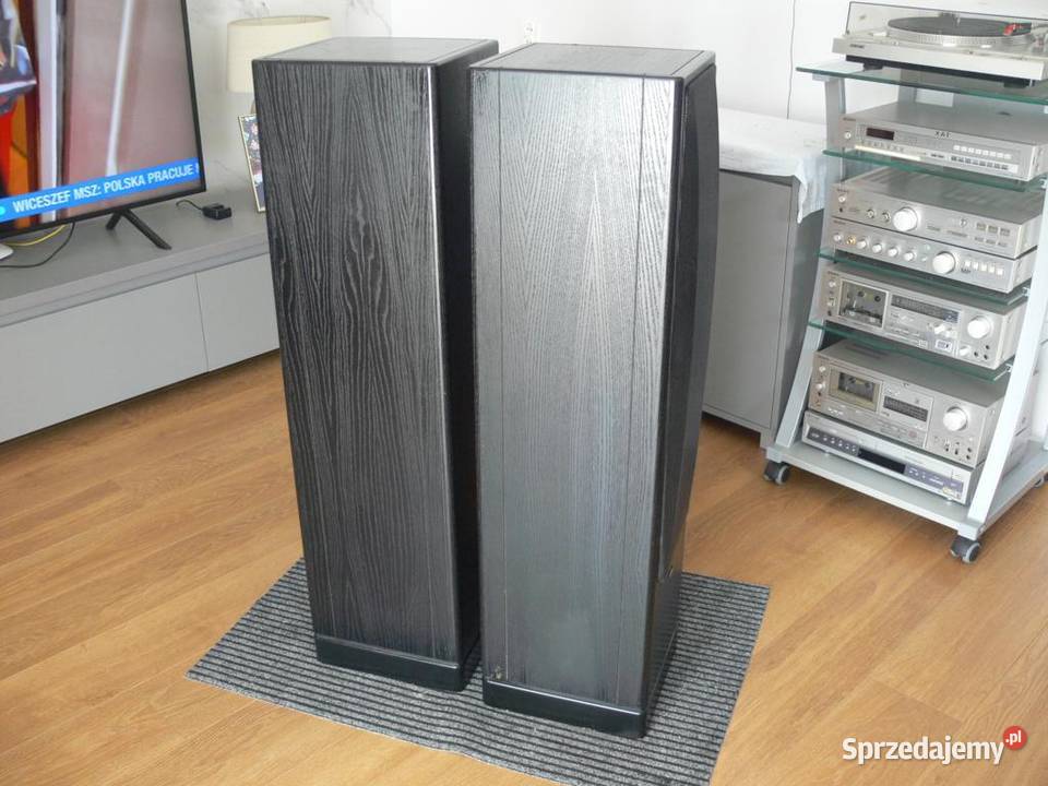 Audiofilskie kolumny Sony SSF7 seria ES Unikat Słuchawki i głośniki podkarpackie Jasło