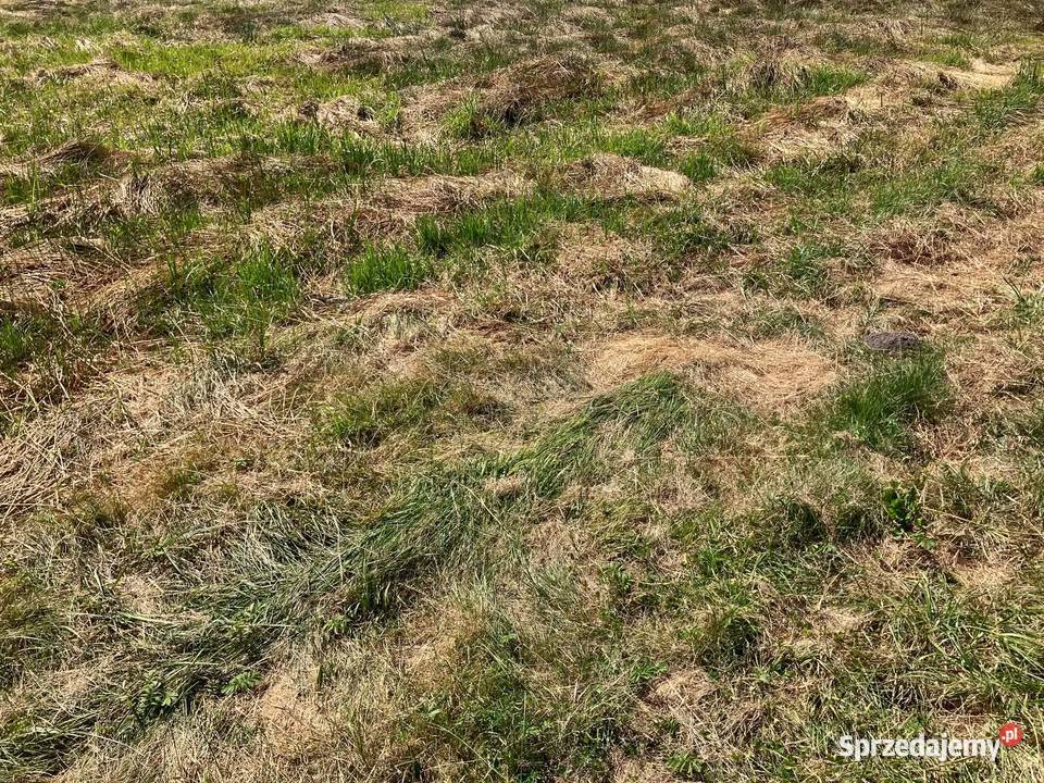 Działka Kobielice ok800m2 Pszczyna