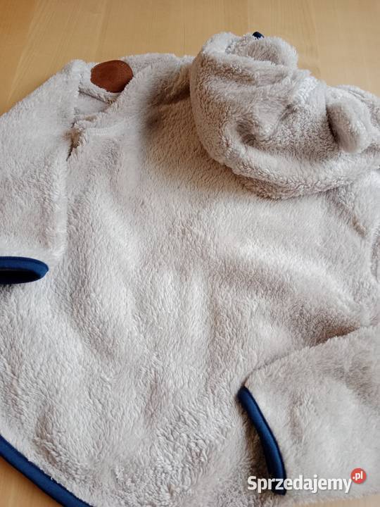 Polar HM miś Poznań