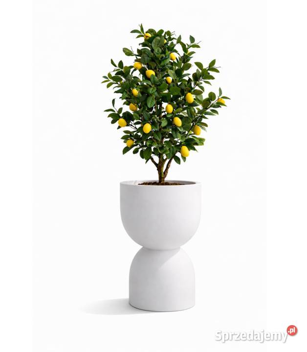 Sztuczna cytryna w doniczce Premium duża 120 Nowy Sącz