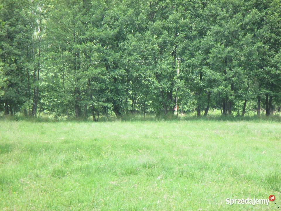 sprzedam 4 działki budowlane Wilkowa Wieś gm sprzedam