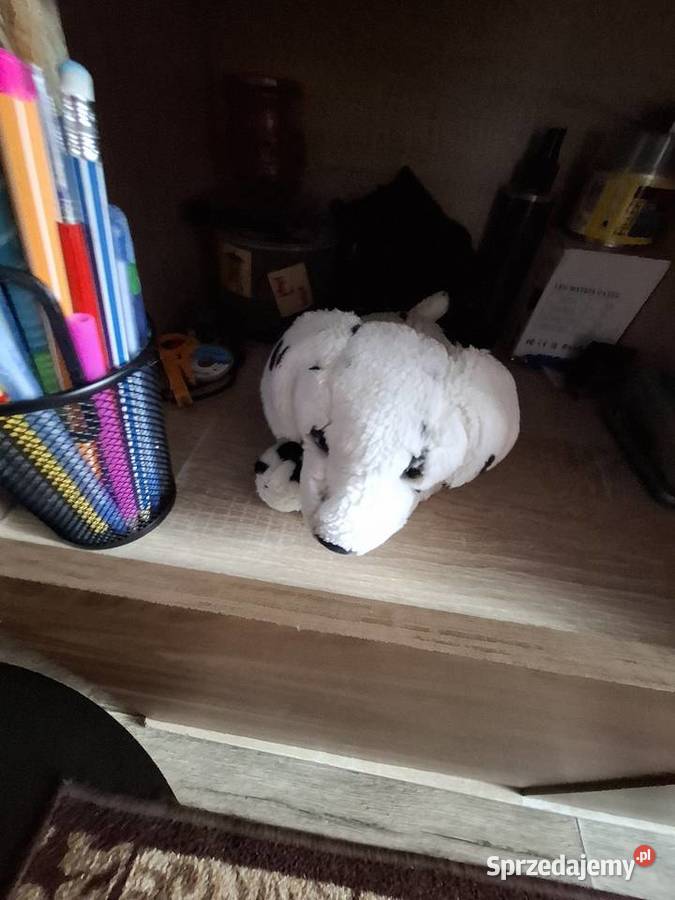 Regał pokojowy mazowieckie