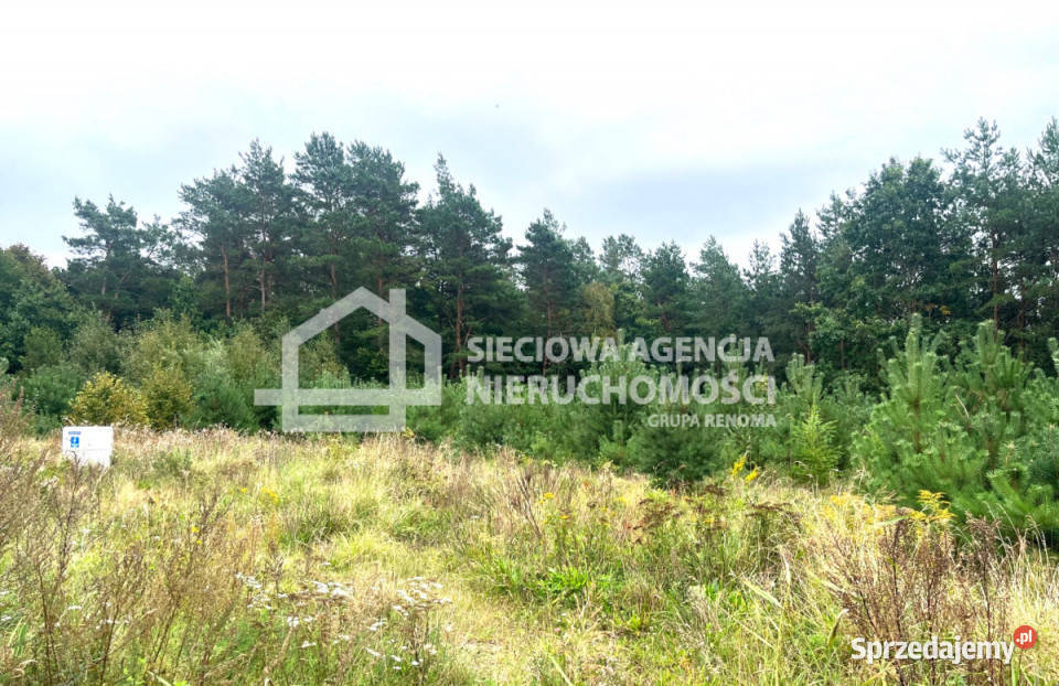 sprzedaży działki 1150m2 Przodkowo budowlana