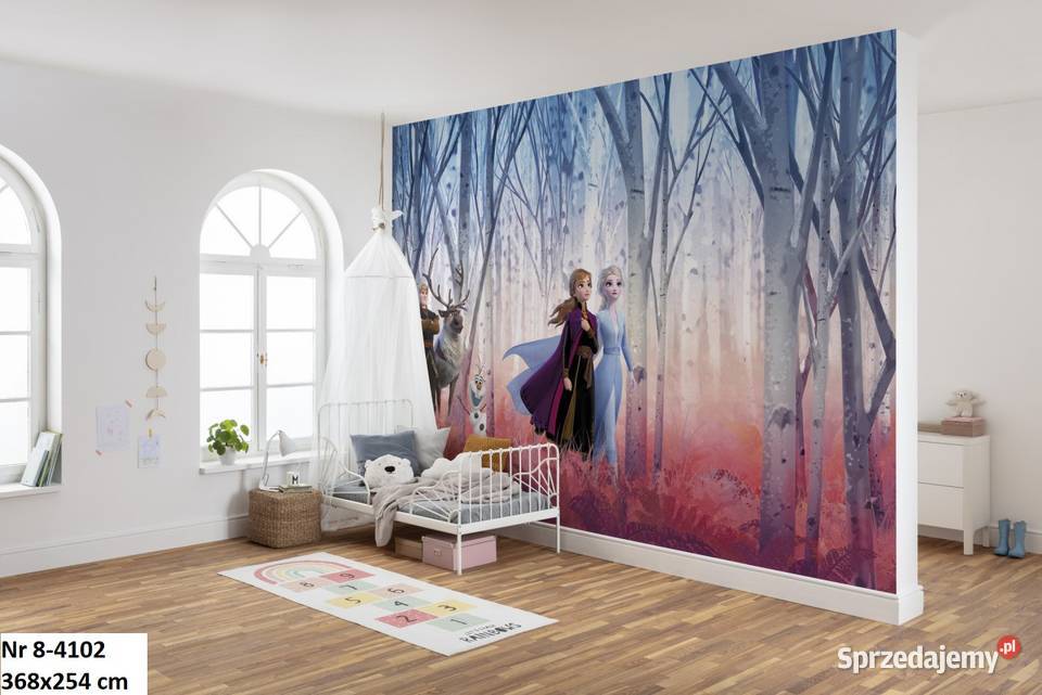 Tapeta fototapeta Kraina Lodu Frozen wielkopolskie