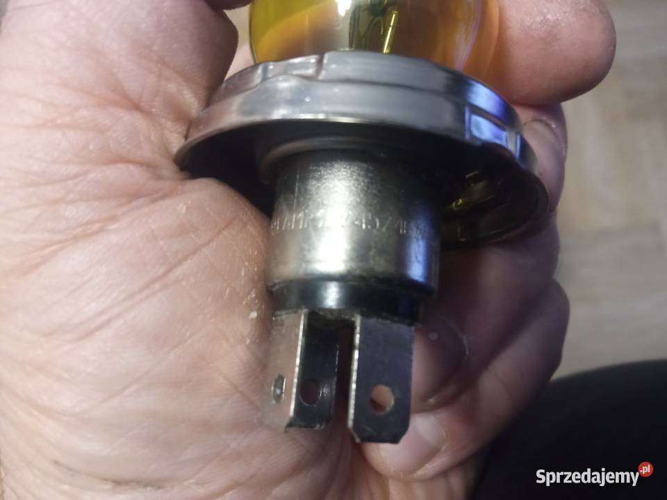 Żarówka żółta Polamp R2 12V Fiat 125p 126p warmińsko-mazurskie Olsztyn