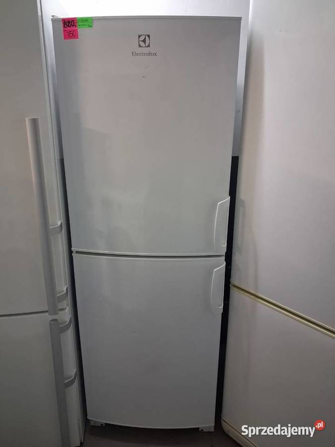 LODÓWKA ELECTROLUX Wrocław