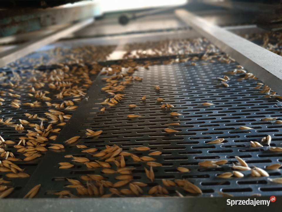 Czyszczalnia Petkus K213 K531 Wialnia Lubieszyn sprzedam