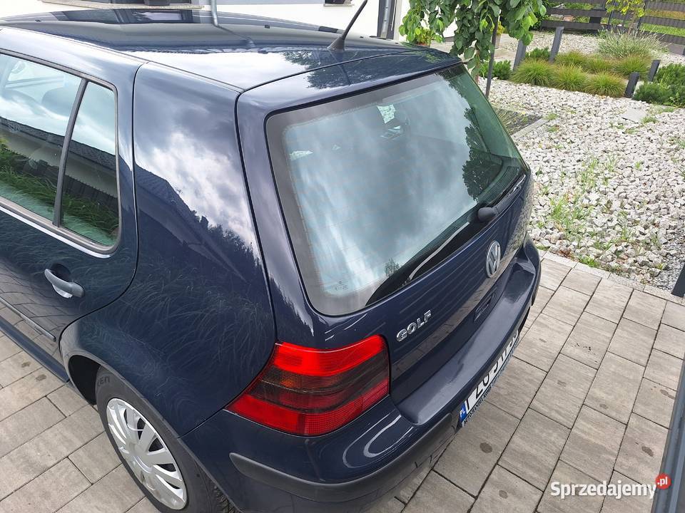 Golf 4 Żary