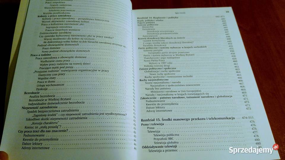 Socjologia Anthony Giddens 2007 Gdańsk