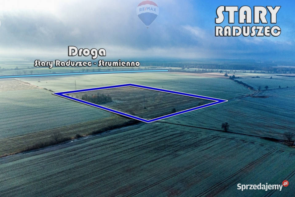 Na sprzedaż grunty orne RIIIa 875 ha Stary Raduszec