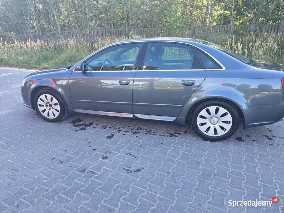 Audi A4B7 Frampol