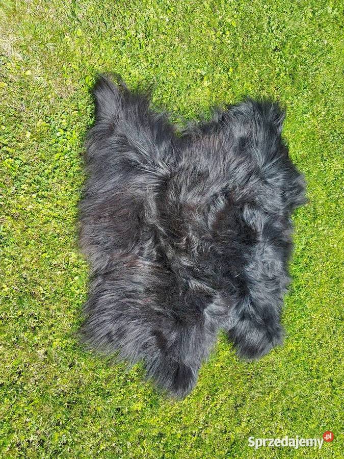 Dywanik z Owczej Wełny Czarne Skóry Naturalne małopolskie Szaflary