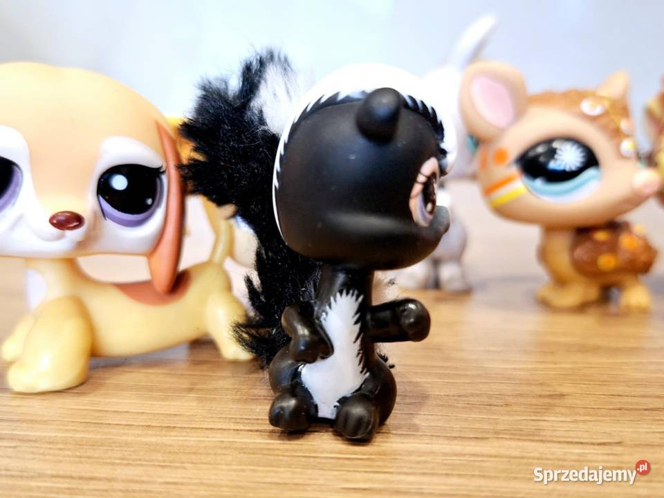Skutki Littlest Pet Shop Braniewo
