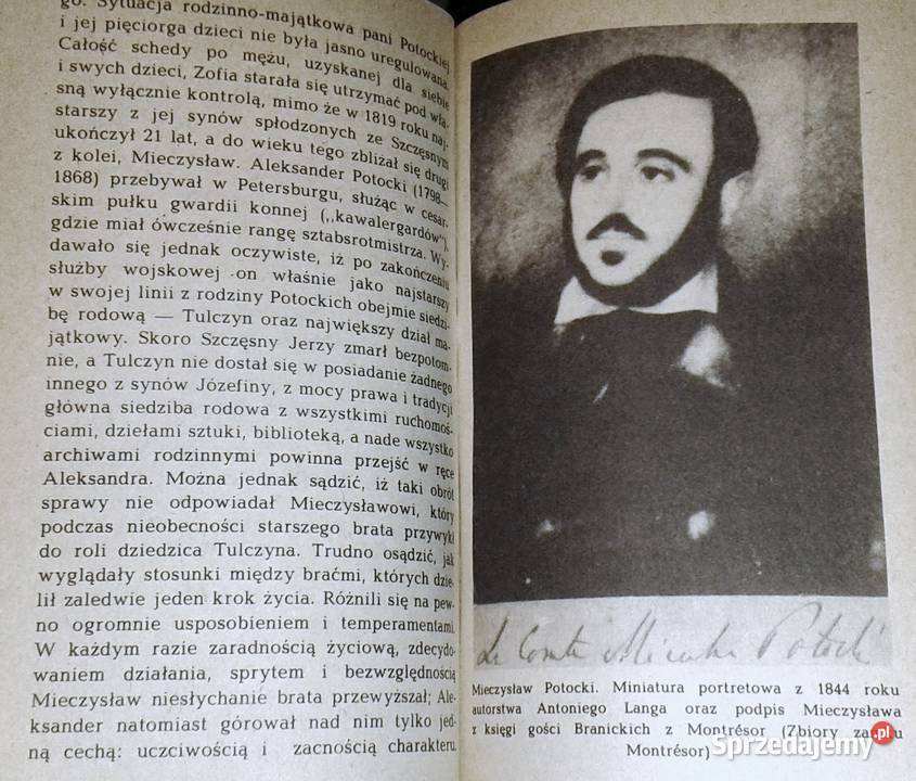 Potomkowie Szczęsnego Dzieje fortuny Potockich z