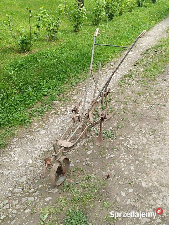 Radło konne Sanok