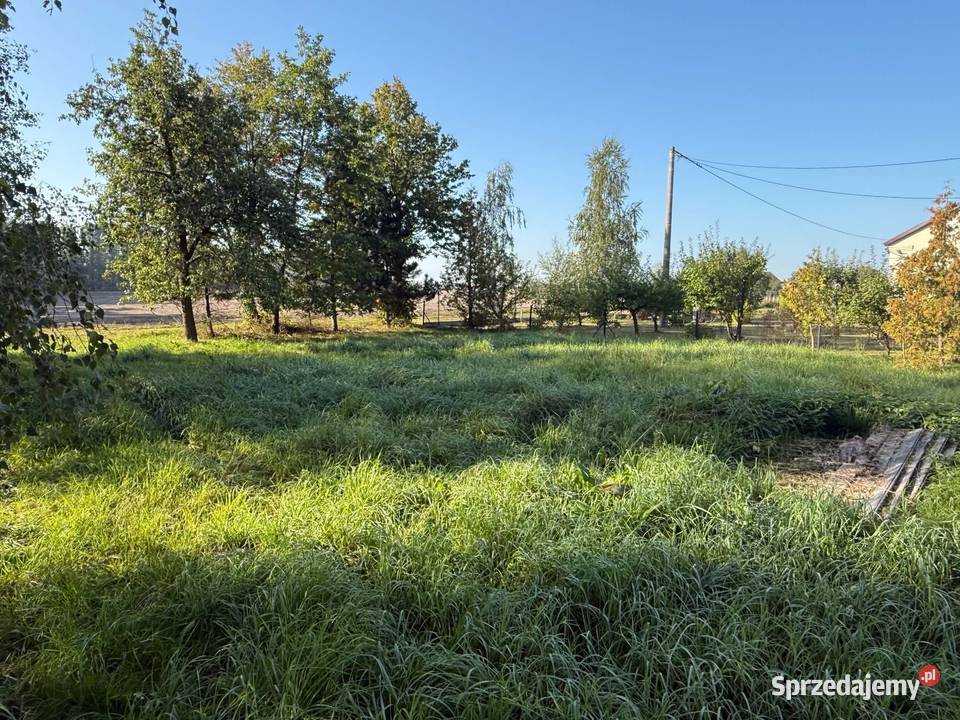 Dom z działkami na sprzedaż Bodzanów