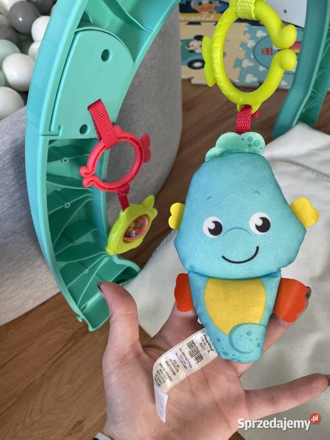 Mata Edukacyjna Fisher Podwodny Ocean stan Edukacyjne Elbląg