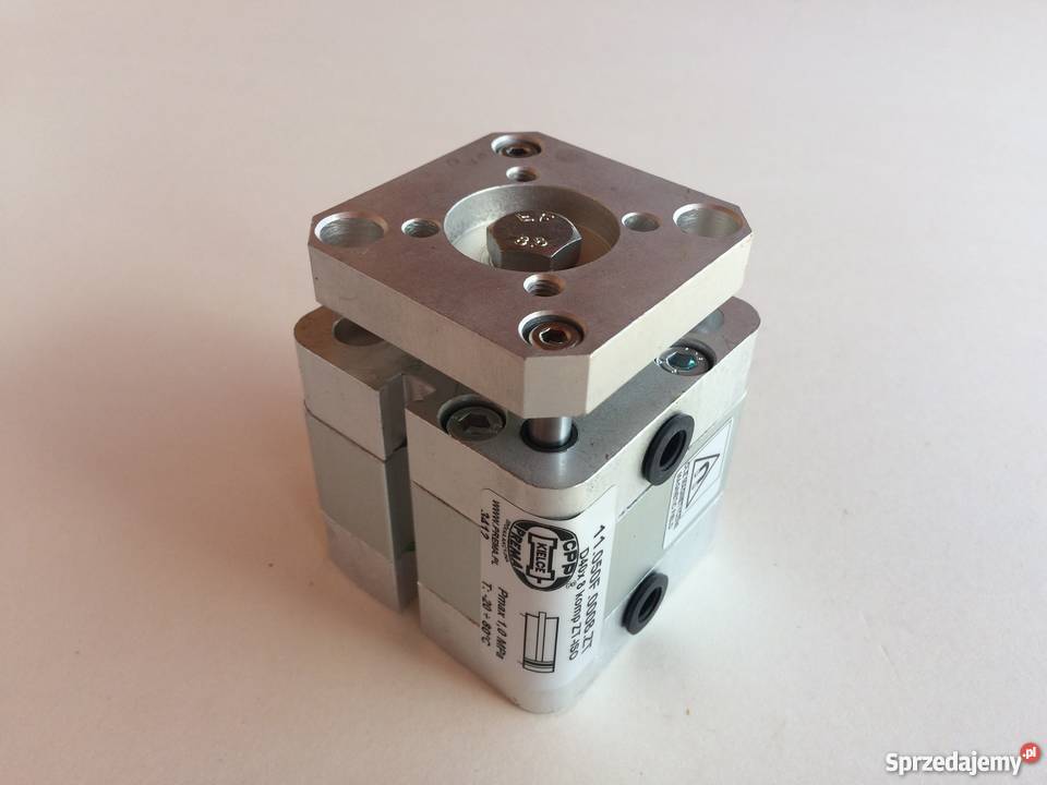 Siłownik PREMA 11050F0008ZT D40x8 ISO KOMPAKT Brzoza