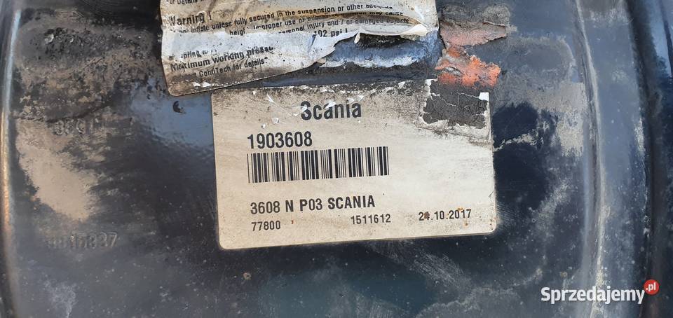 SCANIA R PODUSZKA ZAWIESZENIA MIECH 1903608 Bieleń