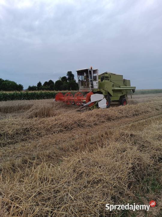 Kombajn zbożowy Claas Dominator 85 Wywła
