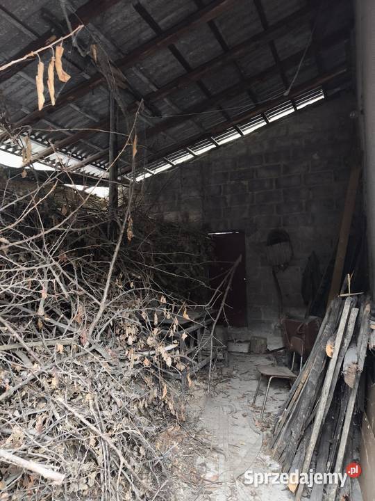 2 domy Zalas malopolska piwnica małopolskie