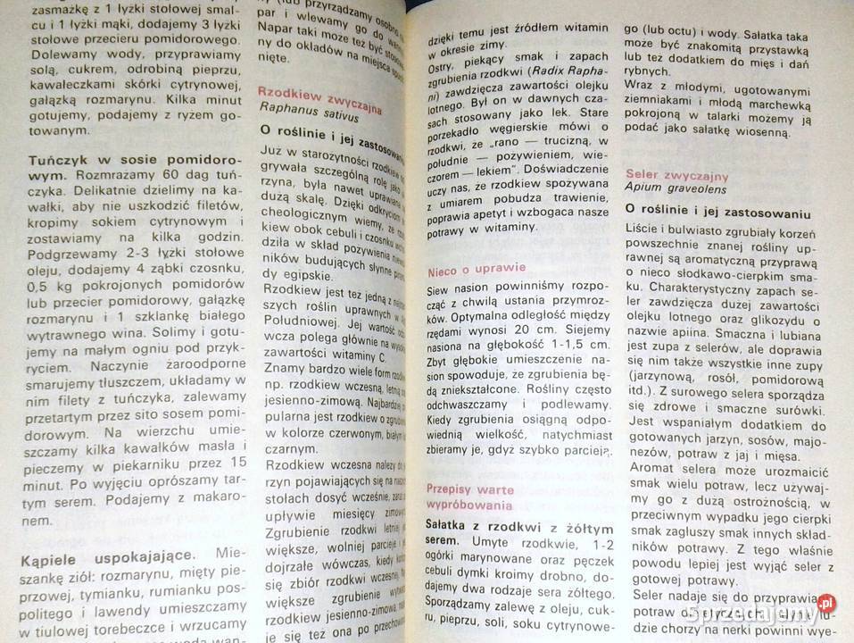 Rośliny przyprawowe i przyprawy w węgierskiej Chełm sprzedam