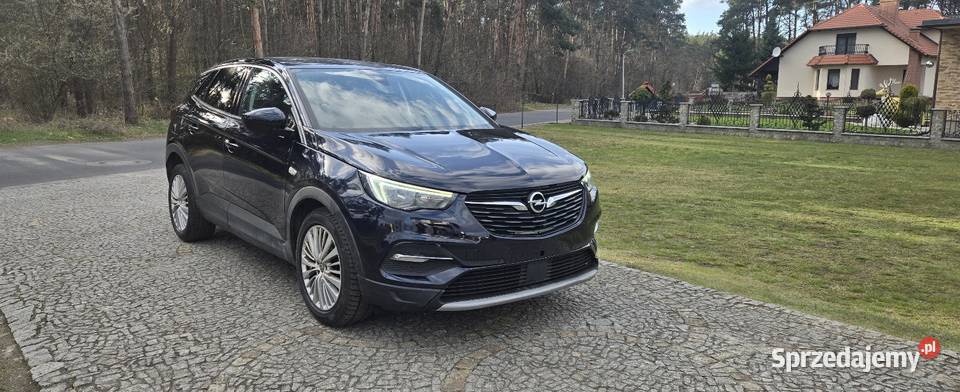 Opel Grandland X Leszno