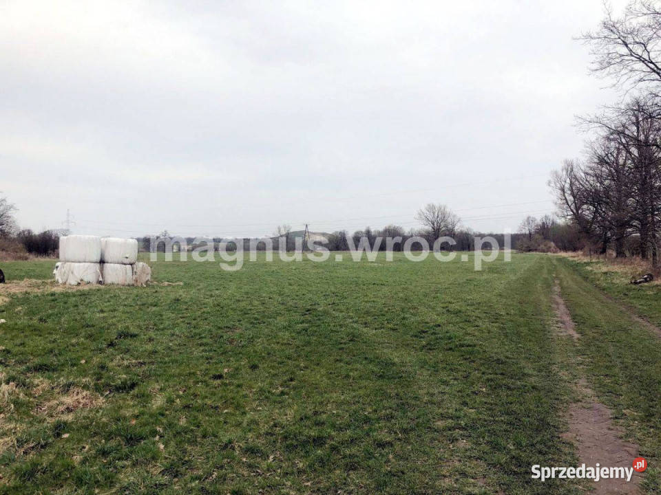 Na sprzedaż piękna działka rolna w Świdnica