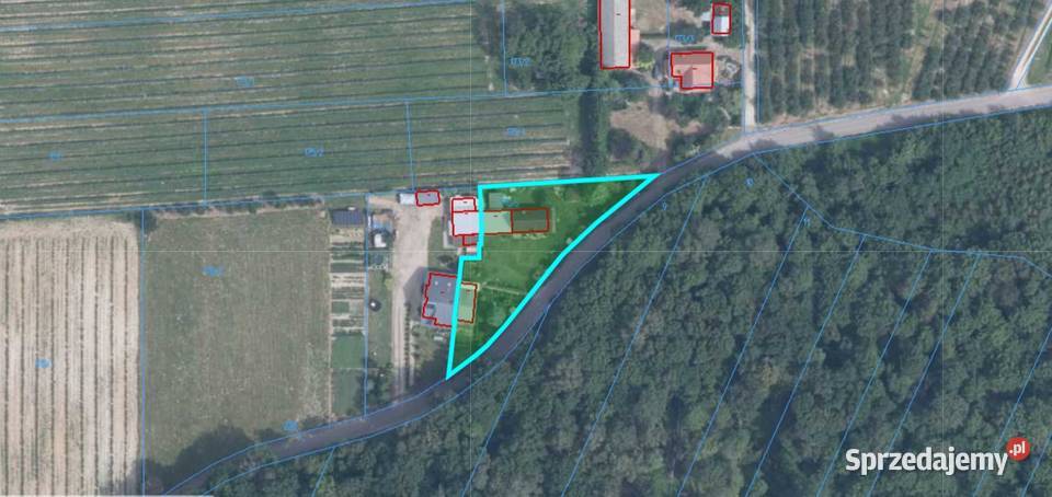 Sprzedam dom w Rzeczycy gm Kazimierz Dolny piwnica