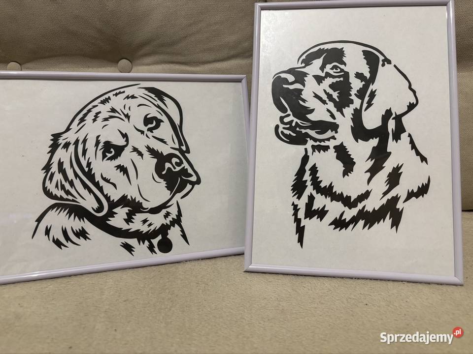 PSY I KOTY Sieradz sprzedam