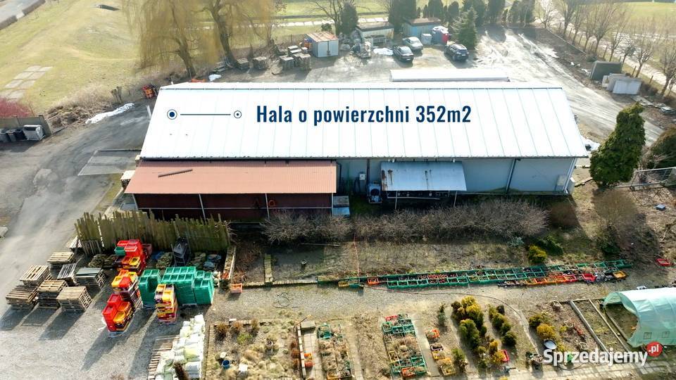 Zostań mistrzem w swojej branży kup halę a śląskie Rydułtowy