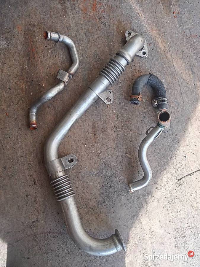 Przewód EGR F9Q 19DCI 131 Renault Pozostałe Sandomierz