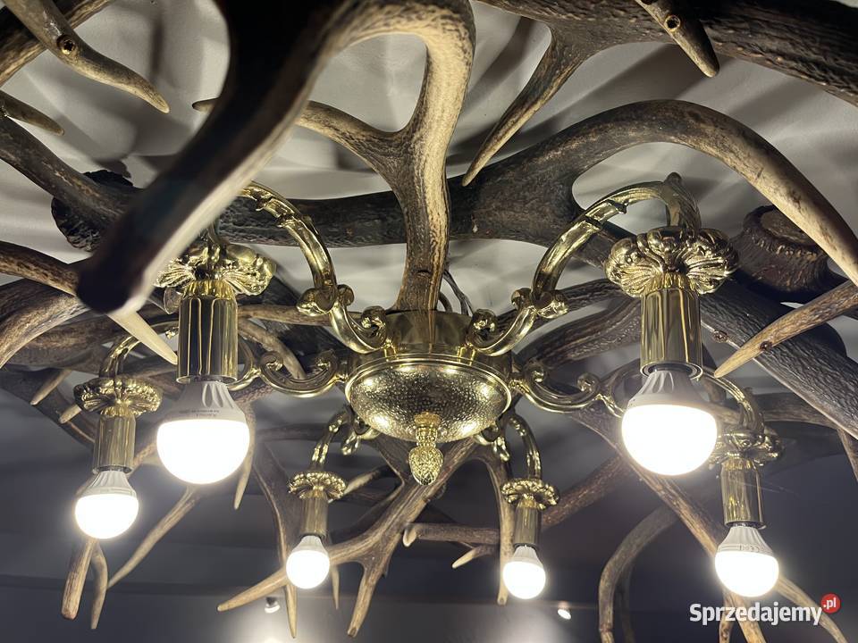 Lampa żyrandol z naturalnych rogów jelenia mazowieckie