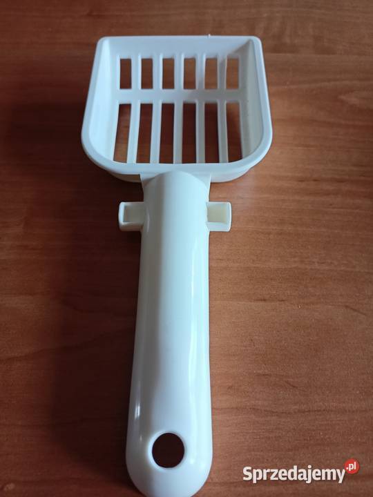 Koweta kota Włocławek