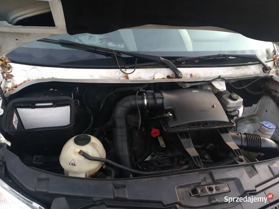 Mercedes Sprinter 316 2016 Chłodnia Mrożnia 230V pełny VAT Szczecin