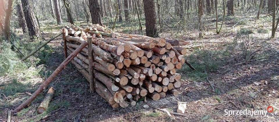 Drewno opałowe sucha sosna gałęziówka Mosina