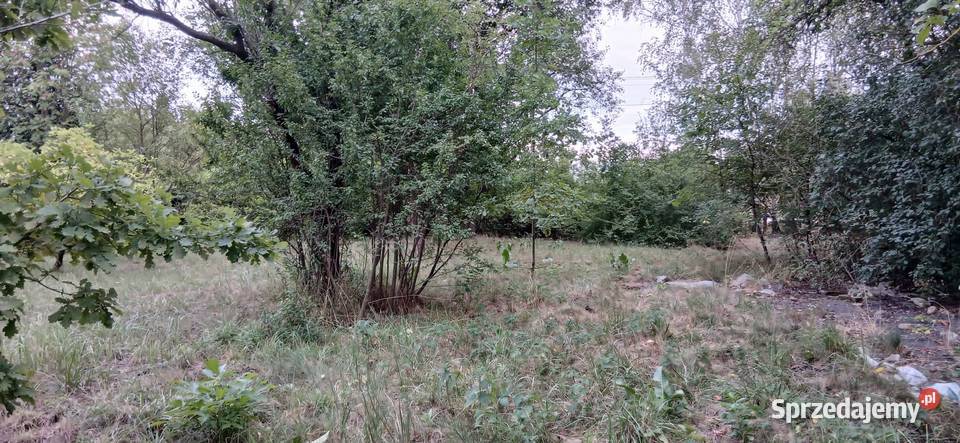 Sprzedam działkę budowlaną 100zł/m2 lubelskie Pryszczowa Góra sprzedam