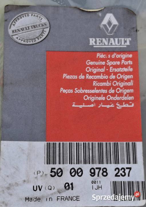 RENAULT PREMIUM MAGNUM KERAX KOŁPAK 225 OSŁONA lubuskie Bieleń