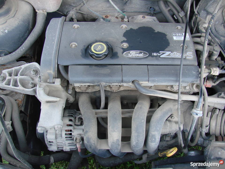 Ford Fiest 5 drzwi czarny części drzwi maska Rok produkcji 1998 Skarżysko-Kamienna sprzedam