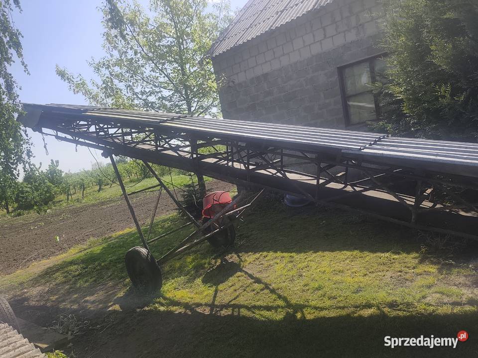 Taśmociąg Złota sprzedam