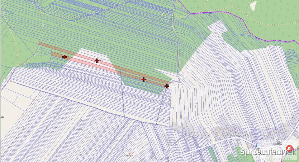 Działkę sprzedam 33800m Kajetanówka 2zł/m2 Nieruchomości lubelskie