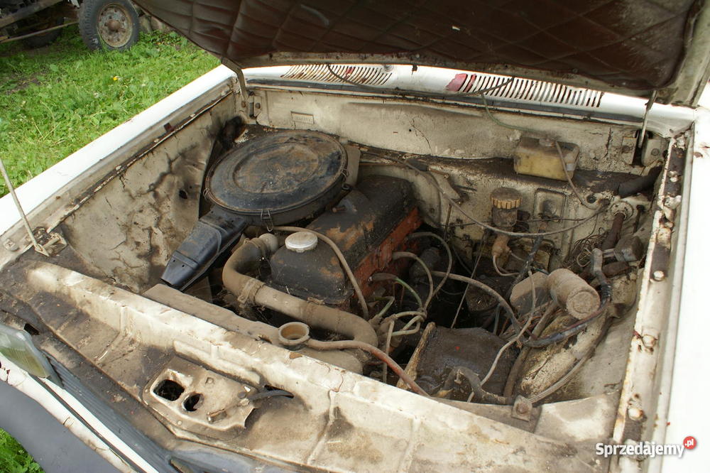 Zabytkowy Opel Rekord Olympia b 1958r Samochody osobowe wielkopolskie Chodzież
