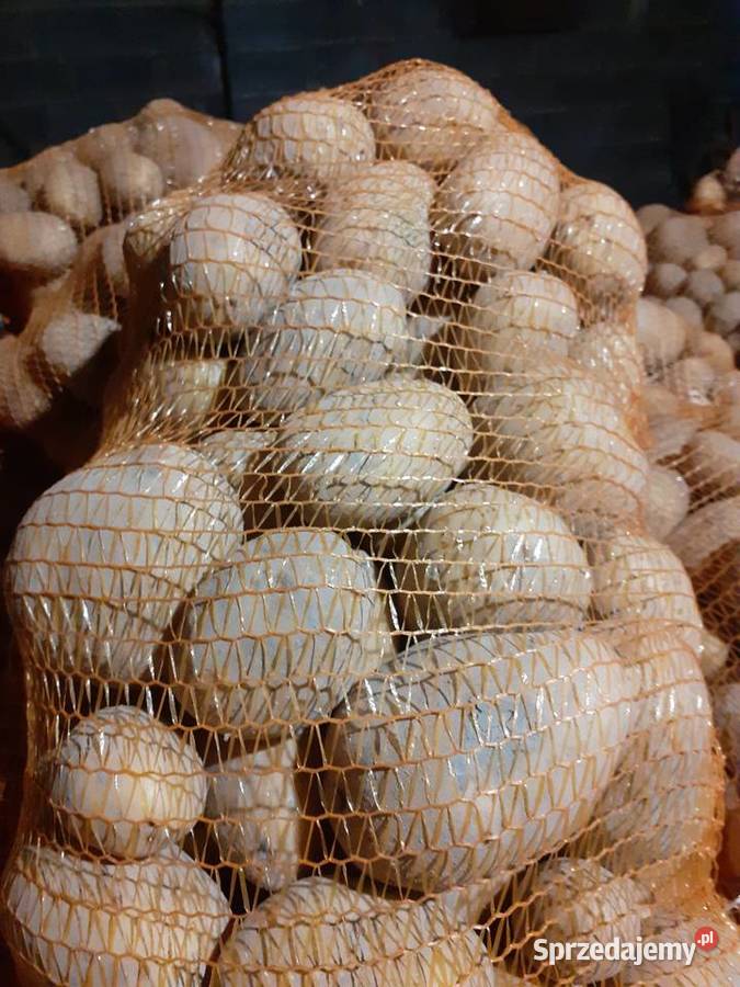 Sprzedam ziemniaki Rośliny okopowe Miechów sprzedam