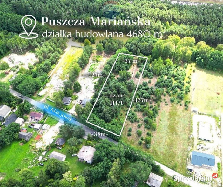 Działka budowlana 4680m2 Puszcza Mariańska Sprzedaż