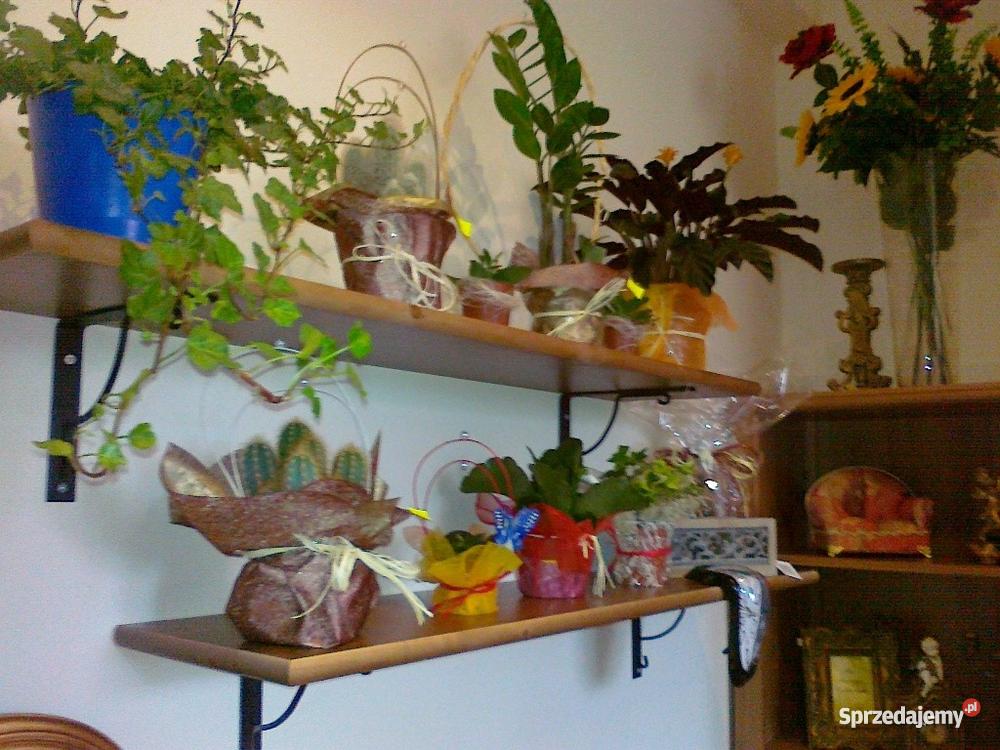 WYPOSAŻENIE KWIACIARNI SKLEPU Gdańsk sprzedam