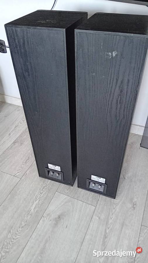 Kolumny Canton Nestor 603 Stereo Leszno sprzedam