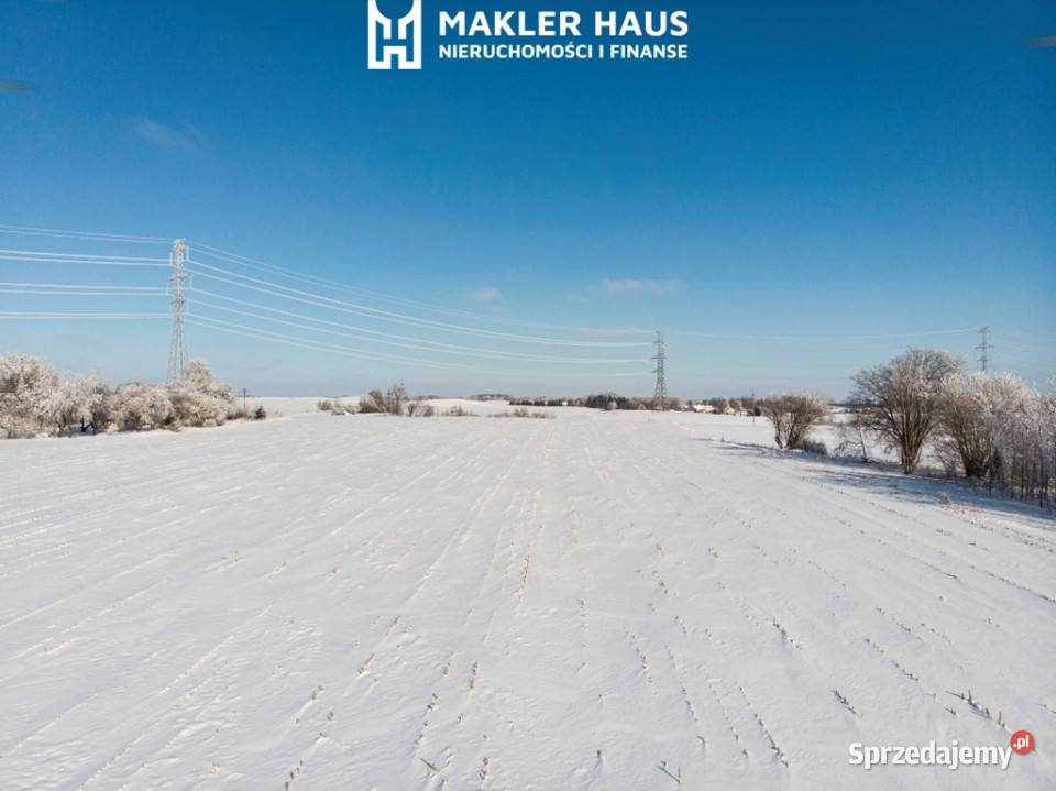 Działki z warunkami zabudowy Żubryn Szypliszki Sprzedaż podlaskie
