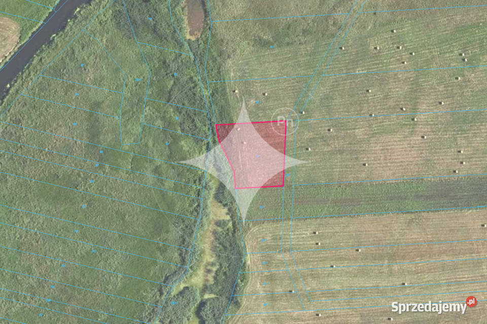 Łąka Horbów Kolonia gm Zalesie pow bialski Horbów-Kolonia sprzedam