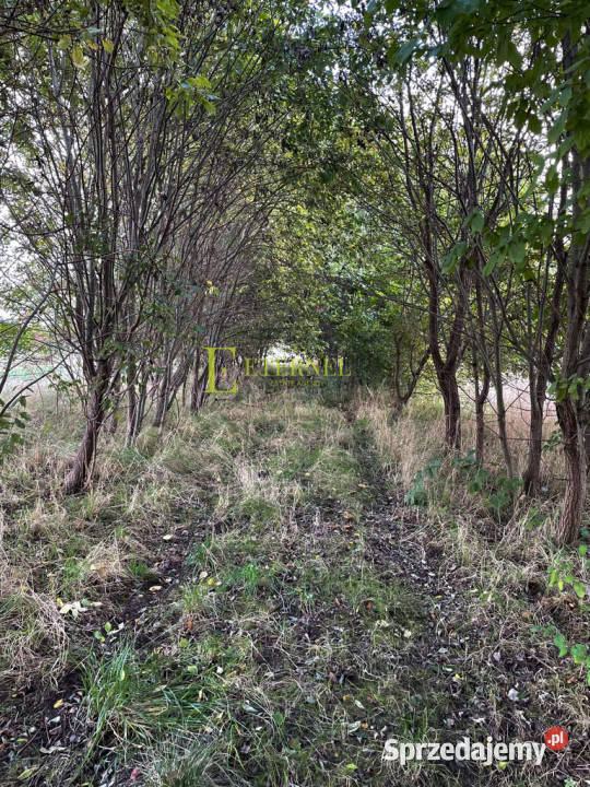 Duża działka inwestycyjna 5703m KrakówWadów małopolskie Kraków